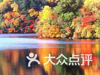 我在陕西想鉴定古玩瓷器并在线交易，不知道汇宝在线在陕西有面授的地方吗？游戏画面